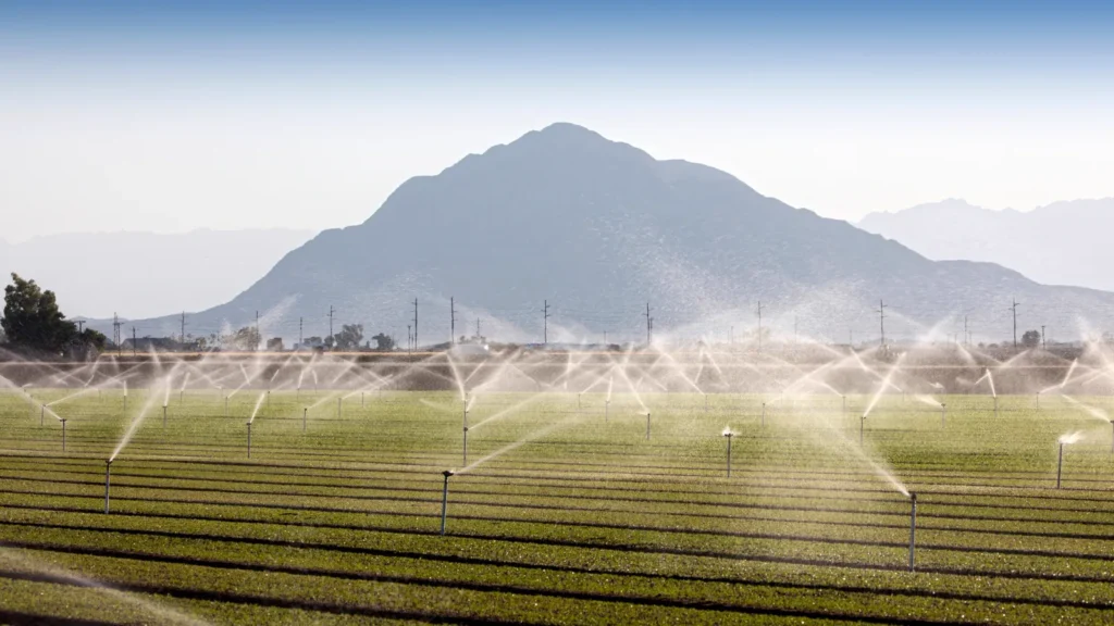 Parceria Thompson e MPRADO: soluções para o agronegócio