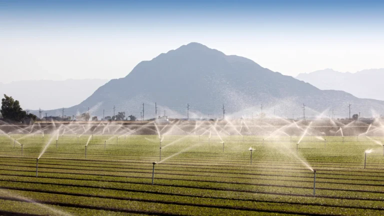 Parceria Thompson e MPRADO: soluções para o agronegócio